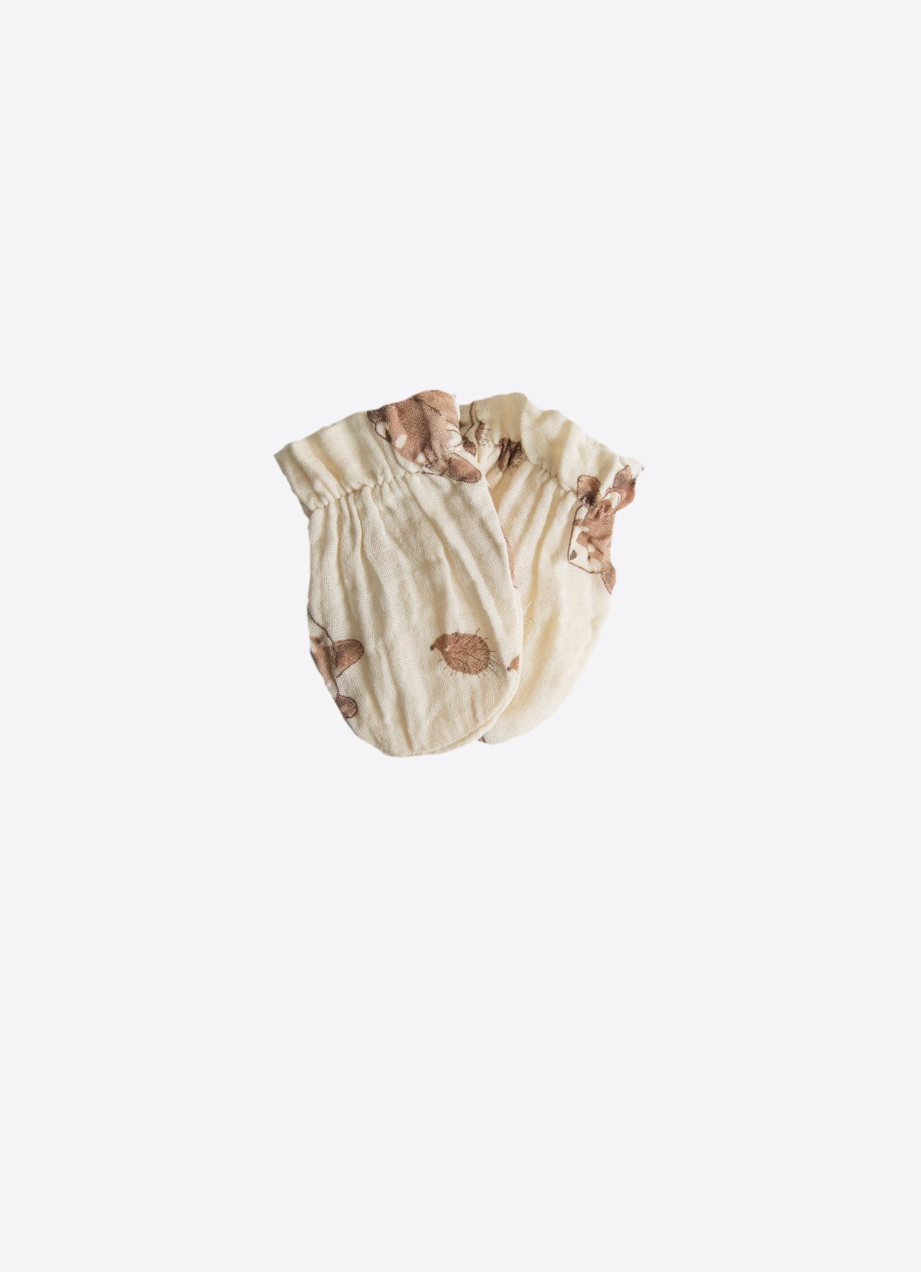 Organic Racoon Muslin 5-Piece Newborn Set - S60771