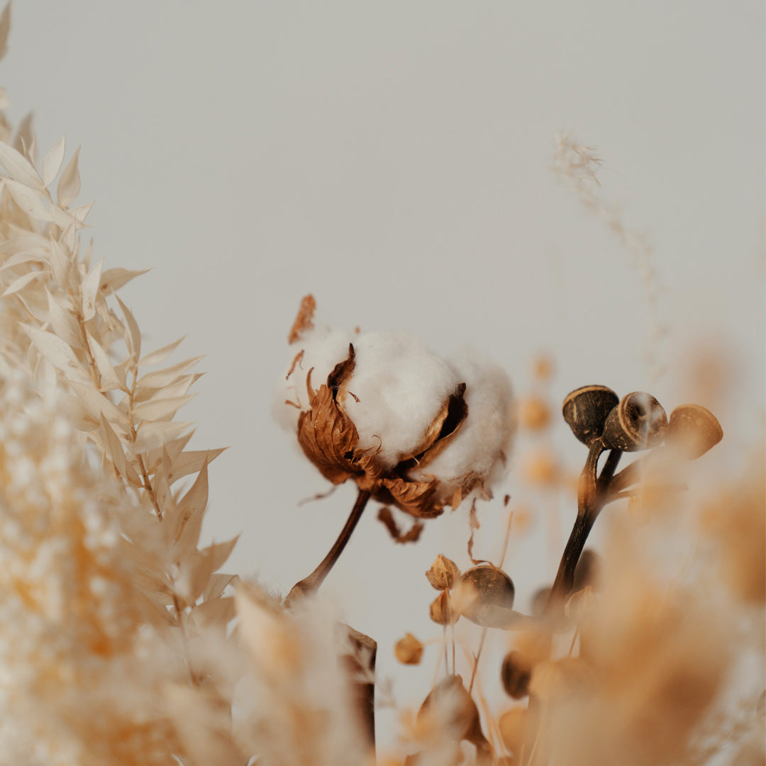 S76410 - Organic Rio Trousers