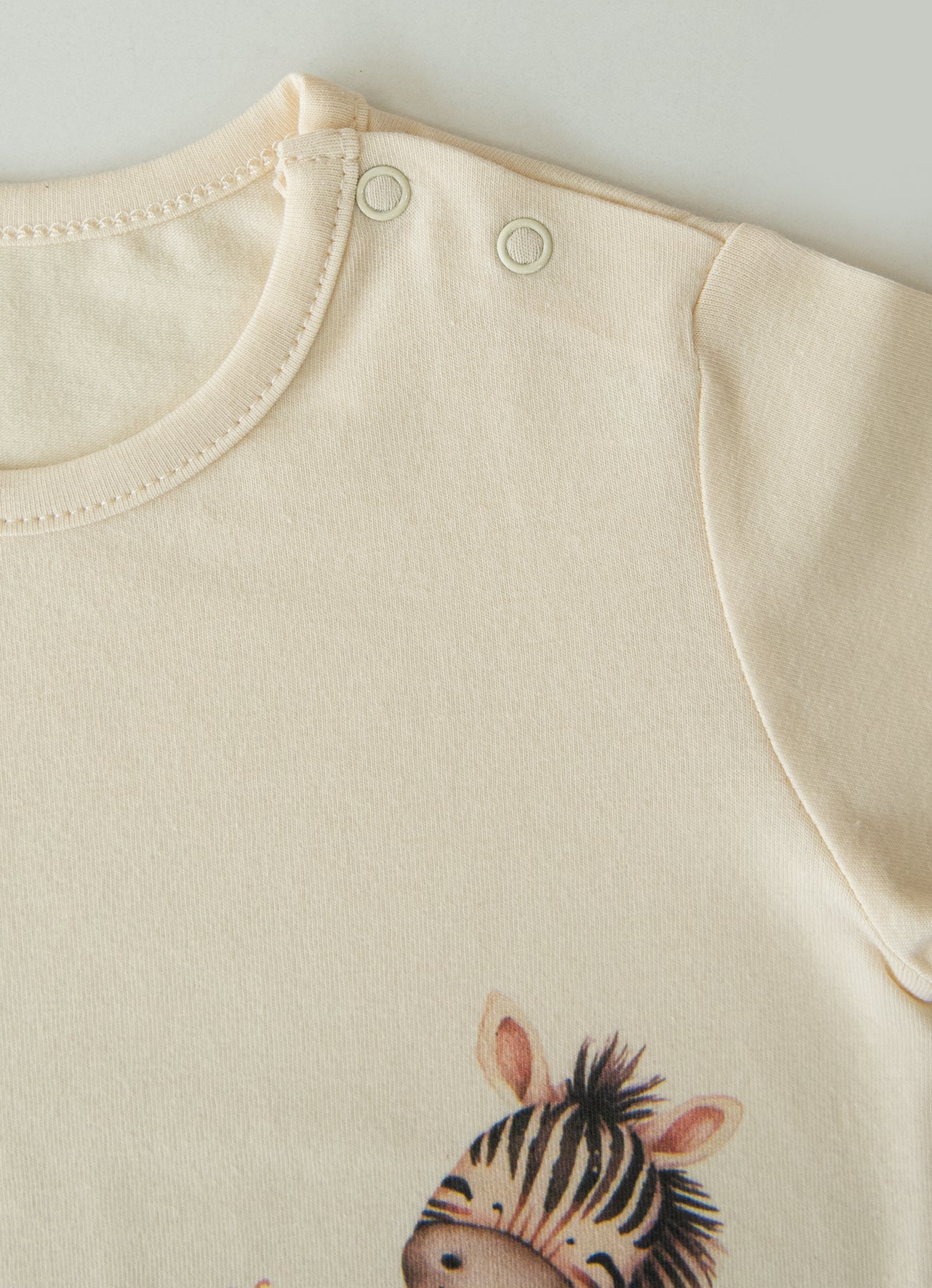 Organic Zebras T-shirts 2-Pack - S33171