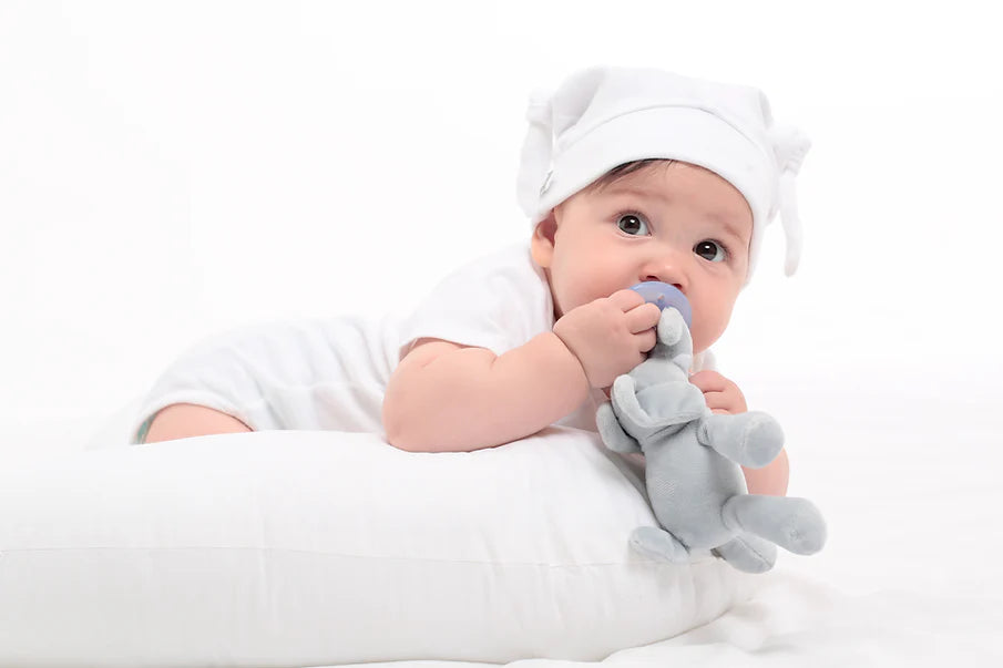 Sleep Buddy Lulu - Silicone Pacifier with Soft Toy